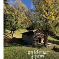 goldener-herbst(1)