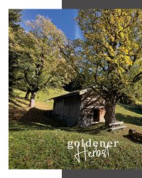 goldener-herbst(1)