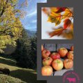 goldener-herbst(2)