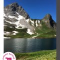 Einzeln rappensee