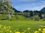 Frühlingnsfoto 4