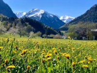 55f683ef-9dcf-485d-b696-714b481e0c62