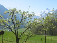 Frühling im Trettachtal