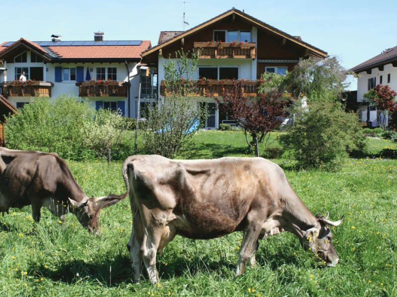Südseite mit angrenzenden Wiesen