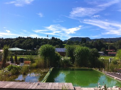Idylle pur - unser Naturschwimmteich