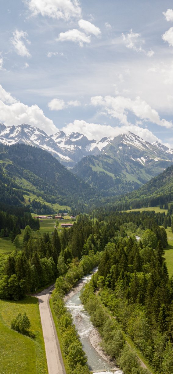 DJI 20240606112242 0181 D-AmFellhorn