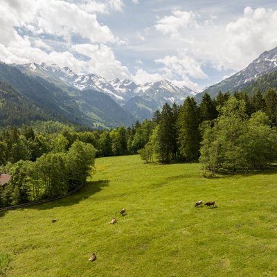 DJI 20240606112039 0178 D-AmFellhorn