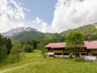 DJI 20240606111544 0171 D-AmFellhorn