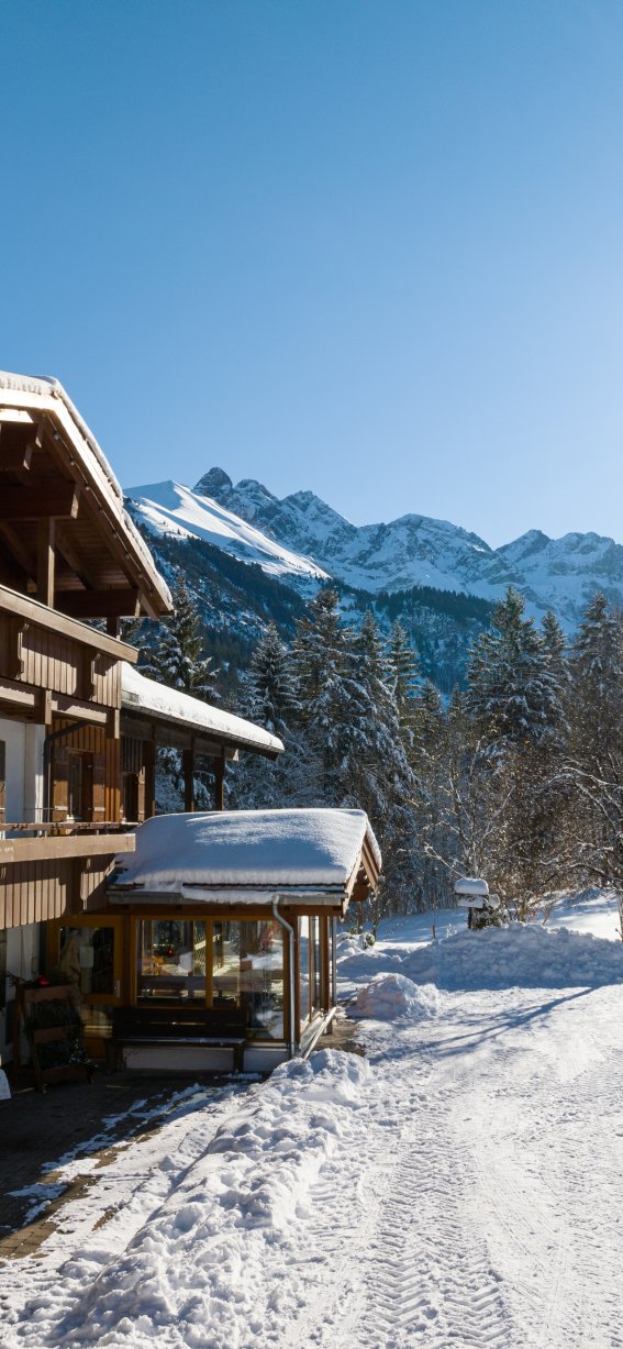 AmFellhorn-DJI 20241227124503 0074 D