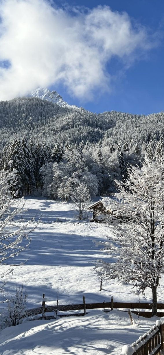 Sonniger Winterausblick aus einem Zimmer im Landhaus am Fellhorn auf verschneite Wiesen, Bäume und Allgäuer Berge bei Oberstdorf.