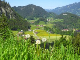 Tiefenbach im Frühling