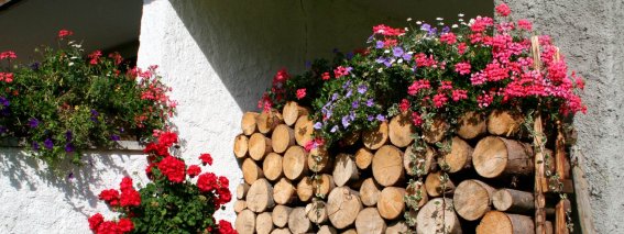 Landhaus-hosp-kontakt-header 01