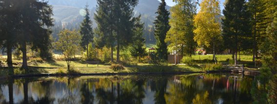 Landhaus-hosp-impressionen-header 2
