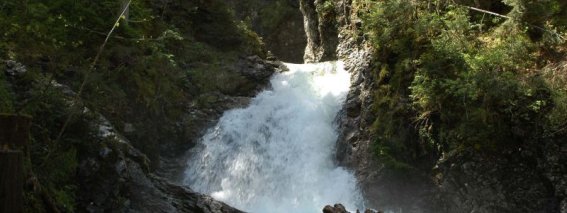 Wandern-kleinwalsertal-sommer-natur-schwarzwasserbach.jpg