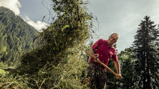 Bei der Heuarbeit