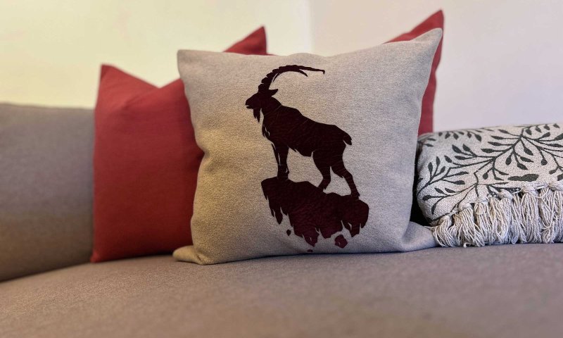 Ein Kissen mit dem Bild eines Steinbocks liegt auf der Couch. Die Couch hat verschiedene Kissen in anderen Farben.