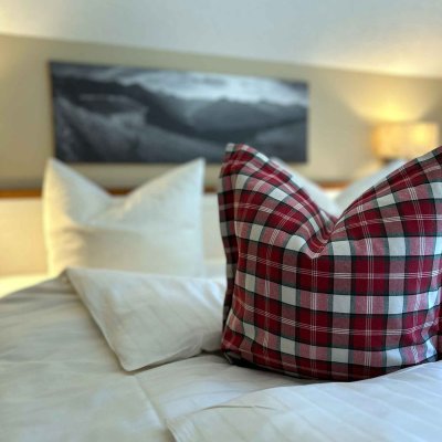 Es gibt ein Bett mit einem karierten Kissen und einem weiteren weißen Kissen im Hintergrund.