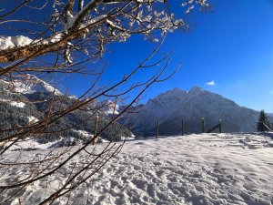 Die Landschaft zeigt schneebedeckte Berge und kahle Bäume. Der Himmel ist blau und klar. Es ist Winter in den Alpen.