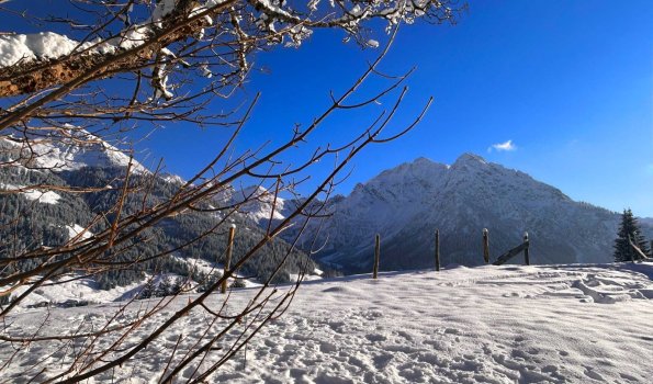 Schnee auf dem Berg mit Bäumen im Winter Die Landschaft zeigt schneebedeckte Berge und kahle Bäume. Der Himmel ist blau und klar. Es ist Winter in den Alpen.