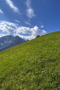 Eine grüne Wiese erstreckt sich unter einem blauen Himmel mit Wolken. Die Berge sind im Hintergrund sichtbar.