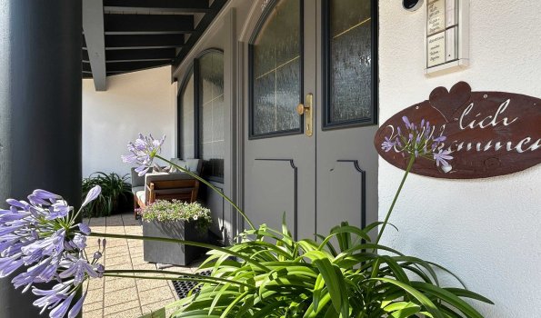 Es gibt Blumen in Töpfen vor der Tür eines Wohnhauses. Die Tür hat eine graue Farbe und einen Briefkasten.