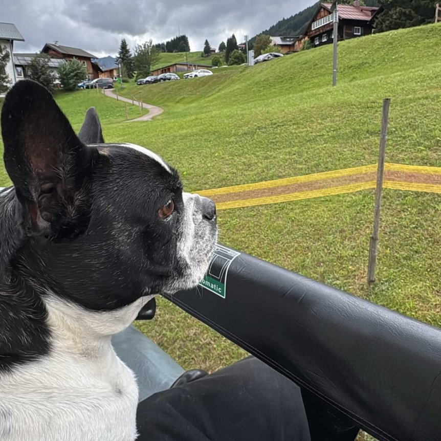 Hund fährt mit einem Menschen auf einem Sessellift Ein Hund sitzt neben einem Menschen auf einem Sessellift in den Bergen. Es ist bewölkt und die Landschaft ist grün.