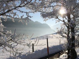 Winter im Allgäu | Landhaus Milena in Obermaiselstein / Allgäu
