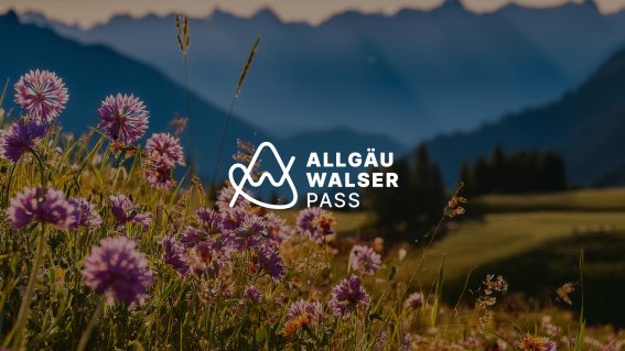 Allgaeu-walser-pass-header-02