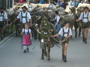 Viehscheid