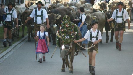 Viehscheid