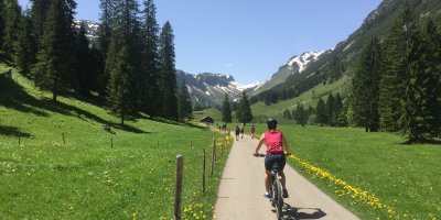IMG 9133