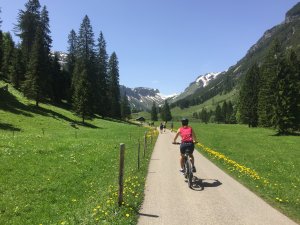 Fahrradfahren-Ferienwohnungen-Bolsterlang