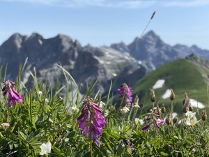 Bergblick-Bergsteigen-Ferienwohnung-Bolsterlang