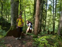 Sagenweg-sturmannshoehle-obermaiselstein-Urlaub-Allgaeu-Ferienwohnungen
