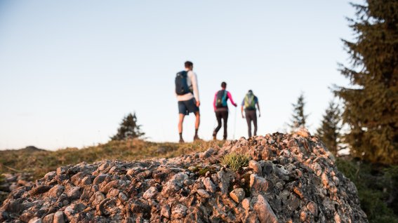 Wandern-herbst-hoernerdoerfer-allgaeu-naturpark