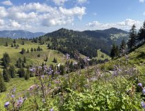 Ausblick-Riedbergerhorn-Ferienwohnungen-privat-Bolsterlang