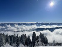 Allgäuer-Alpen-im-Winter-Ferienwohnungen-Hörnerdörfer Herrlicher Blick über die Allgäuer Alpen bei Schneeschuhwanderung auf den Wannenkopf