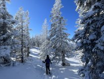 Wanderung-durch-Schnee-Ferienwohnungen-Naturpark-Nagelfluhkette Aufstieg der Schneeschuh-Wanderung durch den verschneiten Wald in Richtung Wannenkopf
