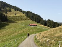 Alpe-Fahnengehren-Wandern-Oberallgäu-Ferienwohnungen