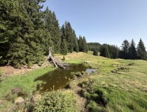 Hochmoorflächen-Bolsterlang-Ofterschwang-Panoramaweg-Ferienwohnung
