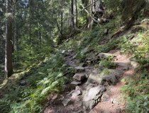Wanderung-Hörnerbahn-Sommer-Allgäu