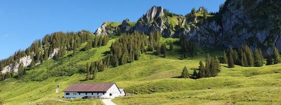 Alpe Schönberg mit Beslerkopf