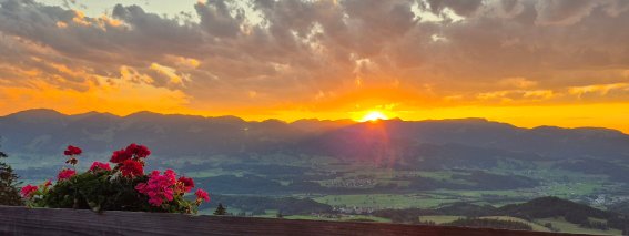 Der Sonnenuntergang färbt den Himmel orange und rosa. Blumen stehen auf dem Geländer. Die Landschaft ist weit und grün.