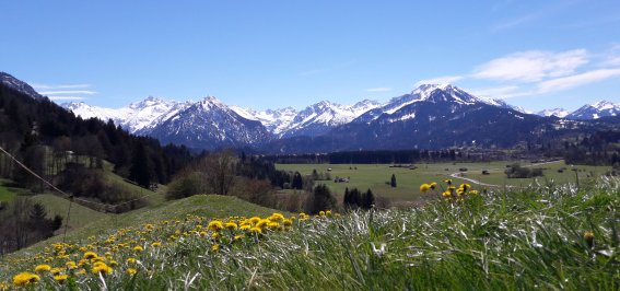 Ausblick Frühling