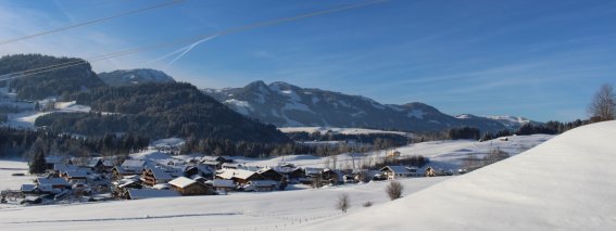Winter-Rubi