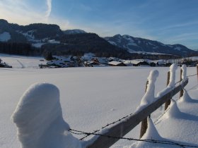 Winter RubiI