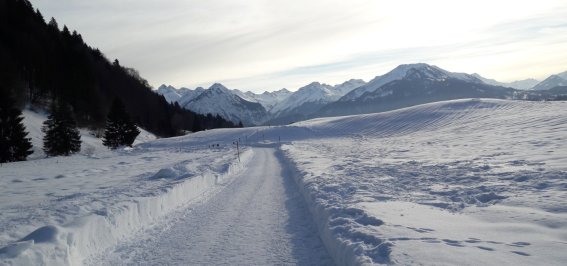 20190123 145423