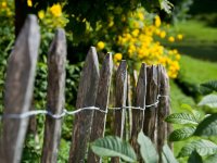 Schwand07