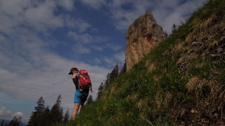 Nagelfluhfelsen