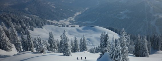 Skitouren direkt ab der Urlaubstür skitourengeher in Balderschwang